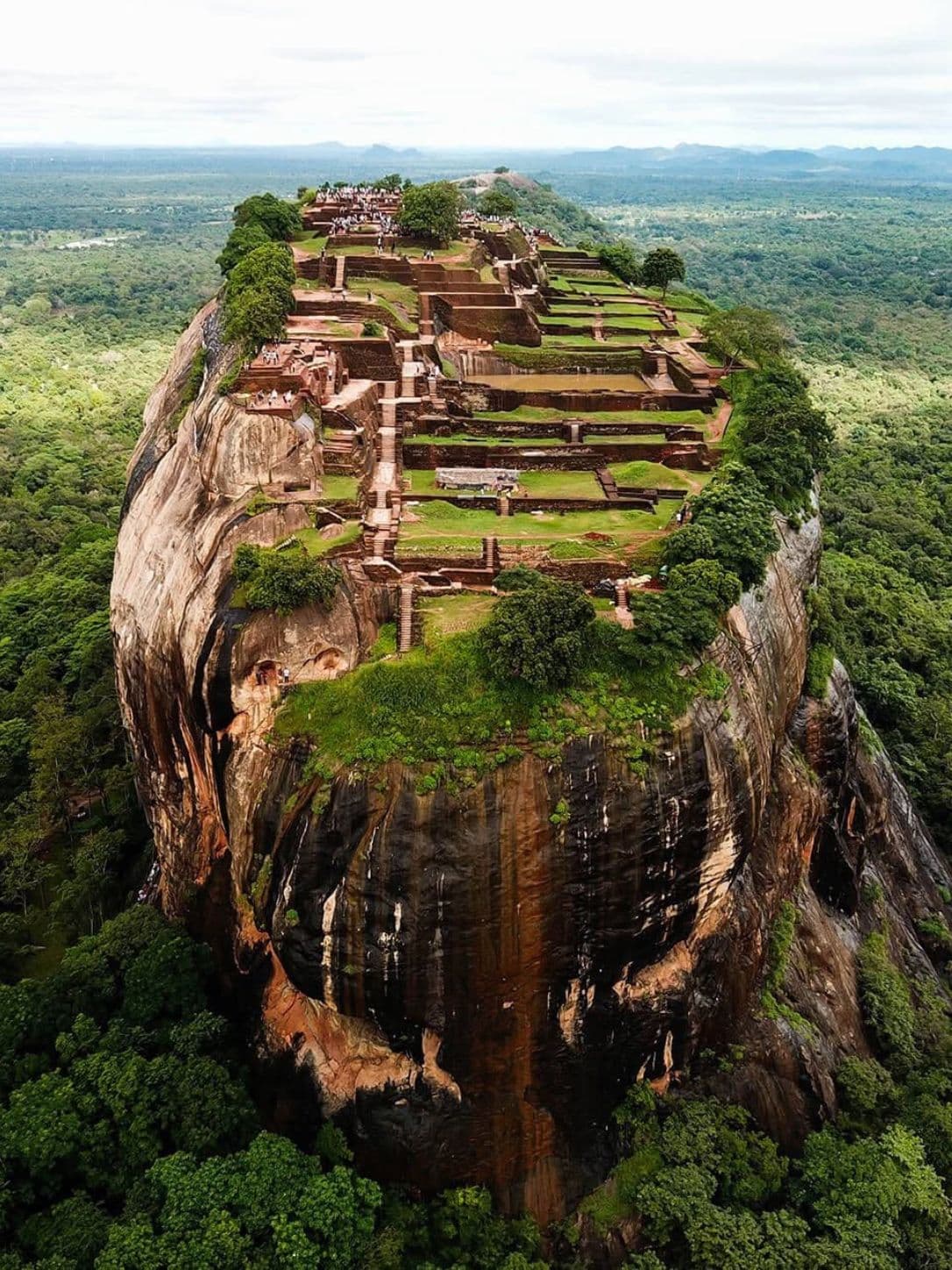 The western face of Sigiriya rock at first light