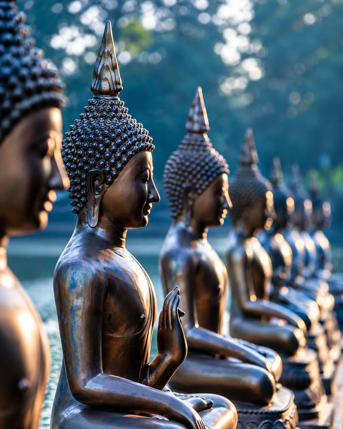 Photograph from Sri Lanka