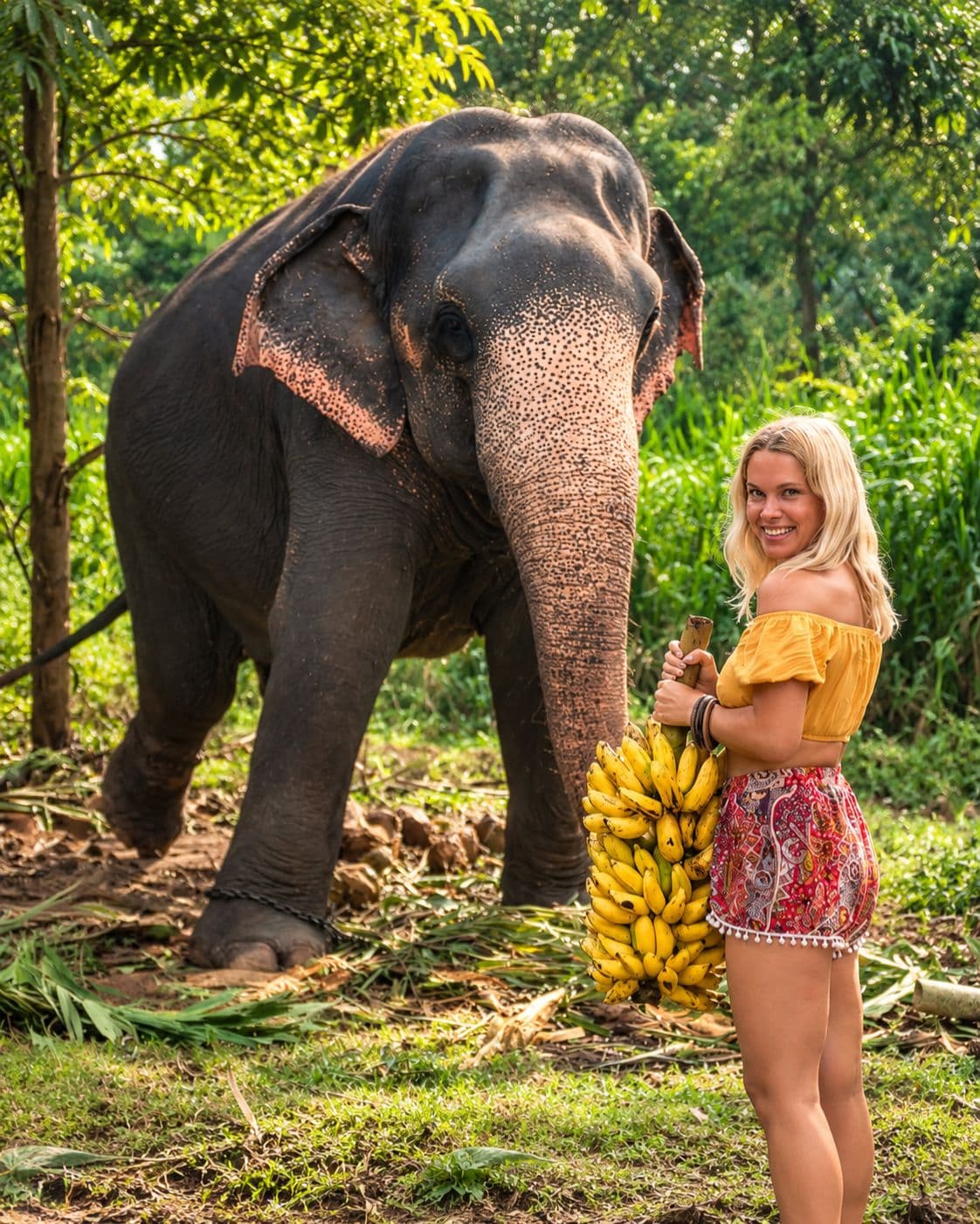 Photograph from Sri Lanka