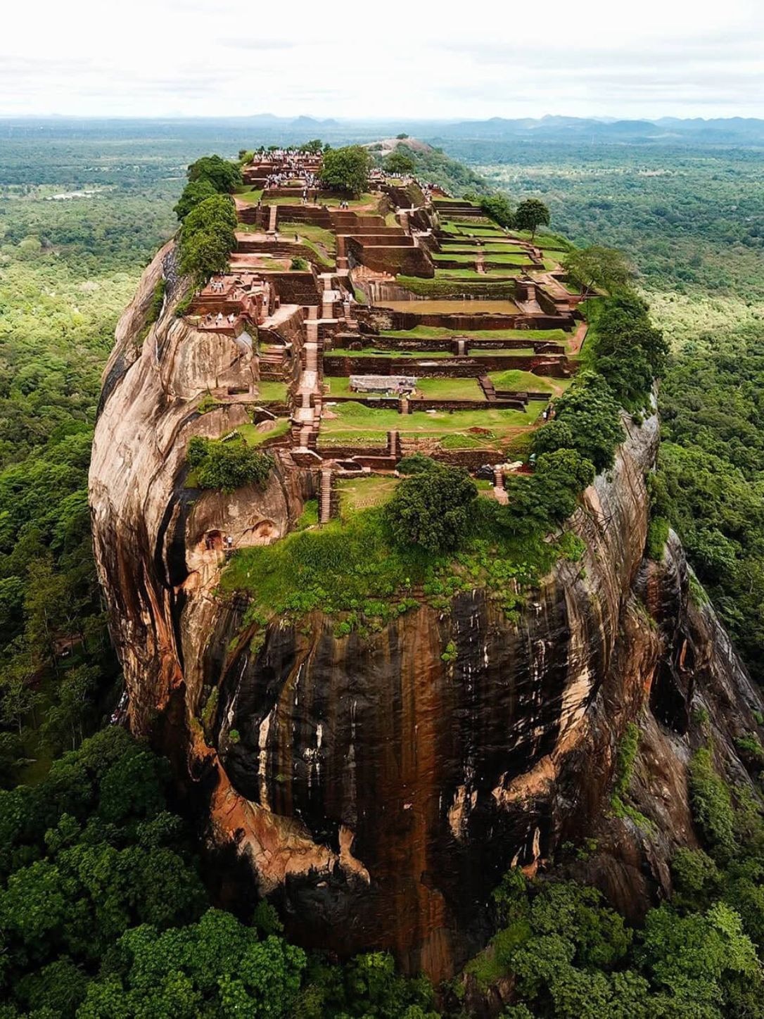 Sigiriya rock rising out of dry-zone forest in early morning mist