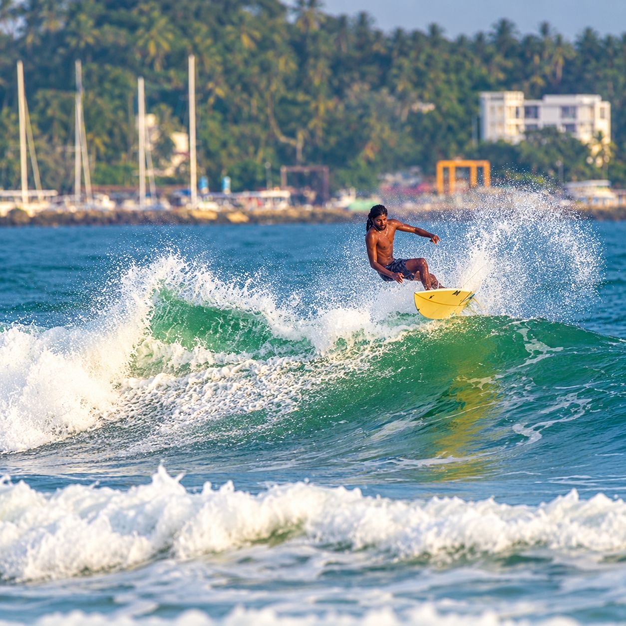 surfing