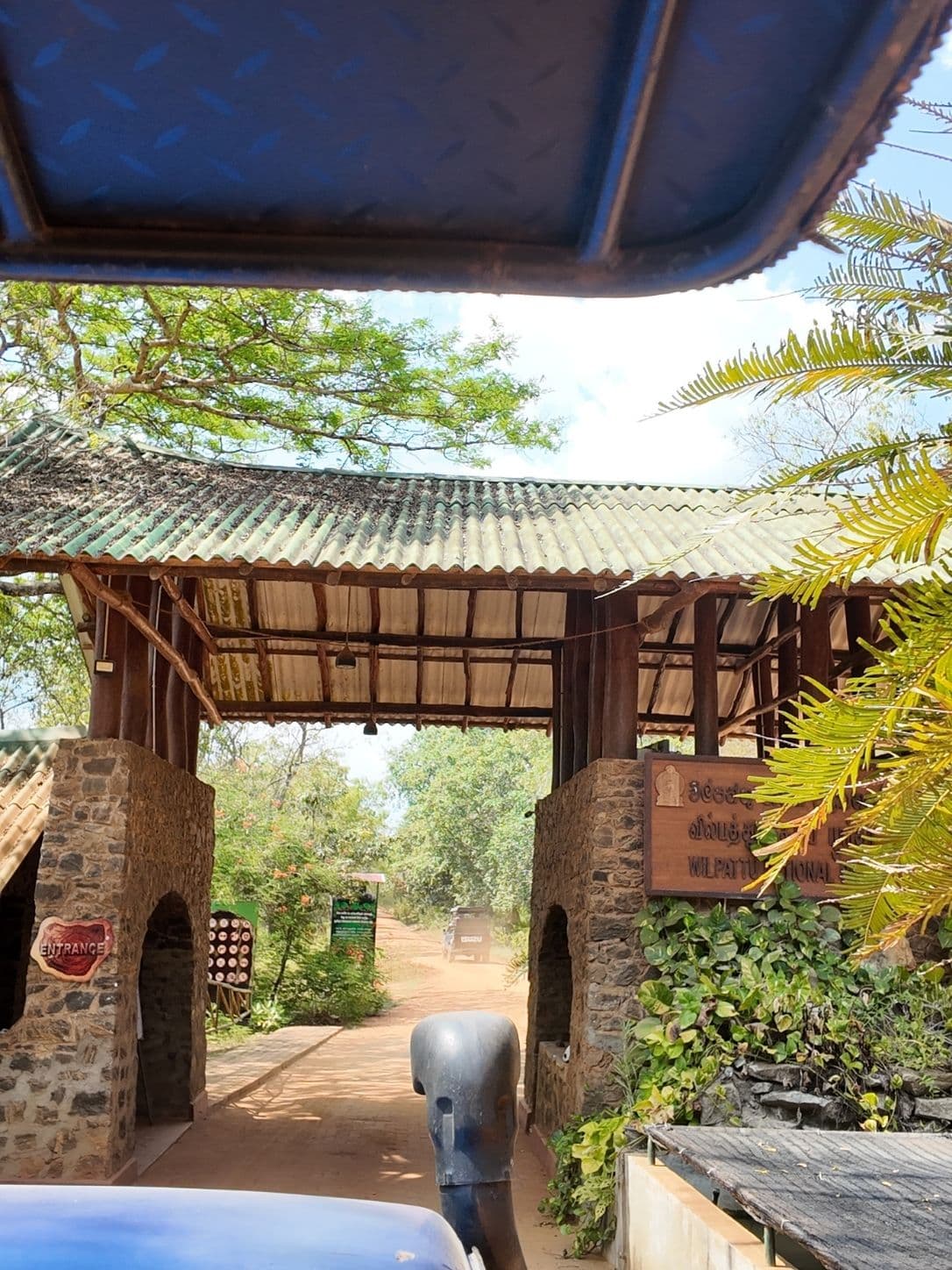 A dirt safari track through dense forest at Wilpattu National Park
