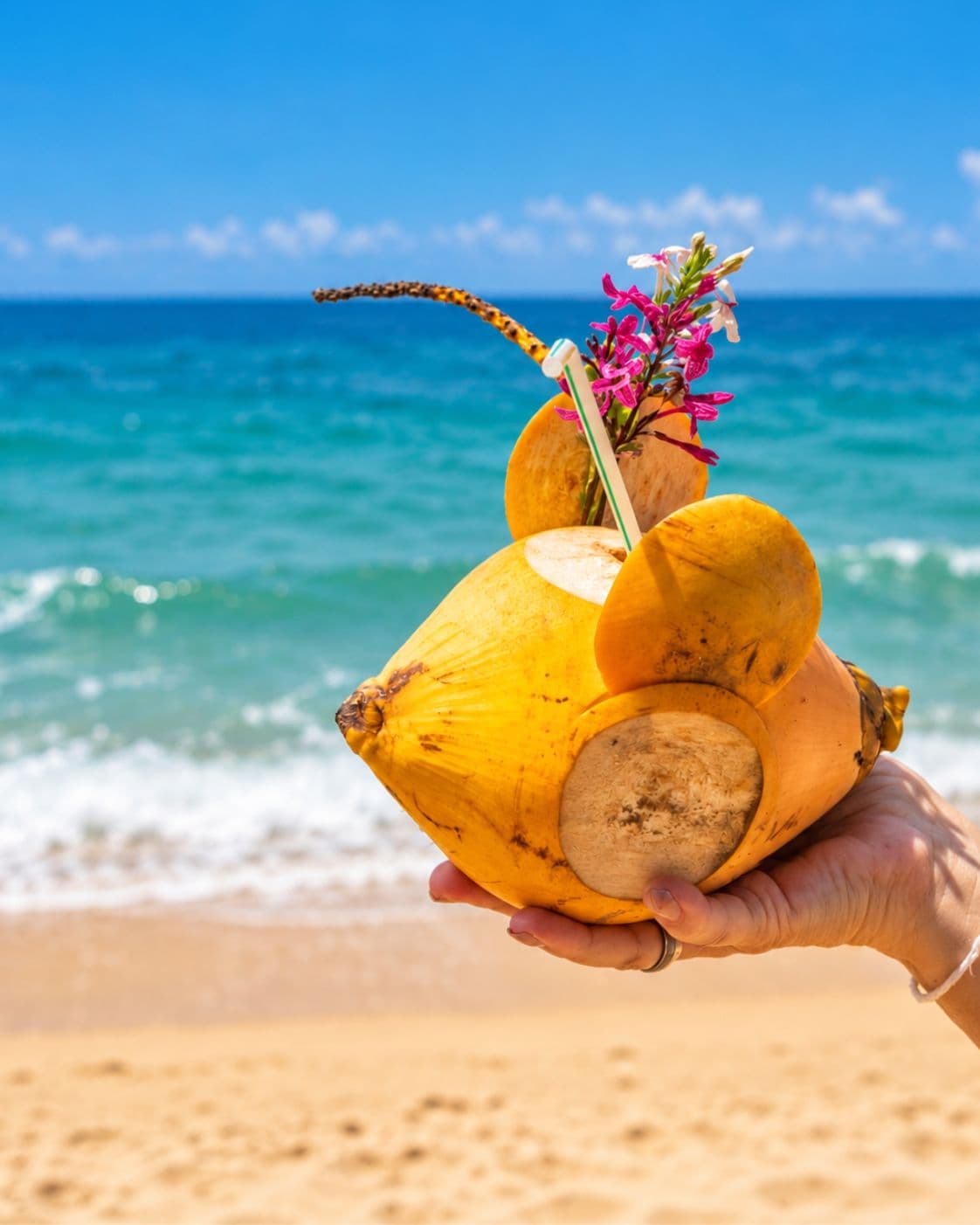 Sri Lanka in February: where to go and what to book first