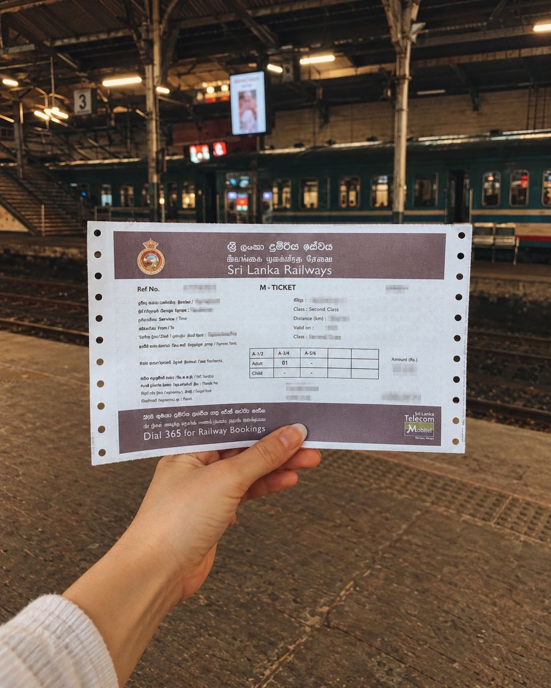 Train ticket