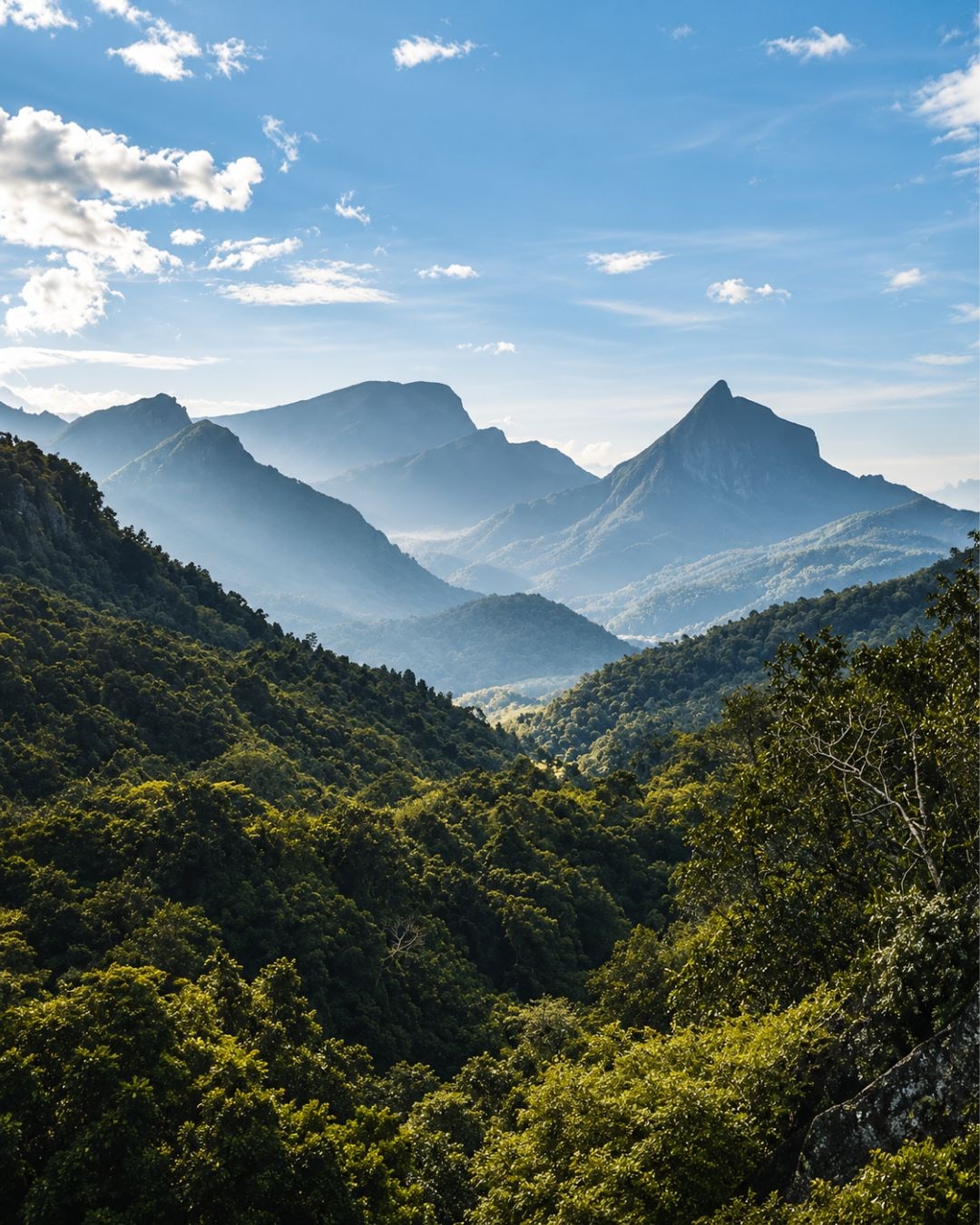The Knuckles Range: a guide to Sri Lanka's quietest mountains, and how to walk them
