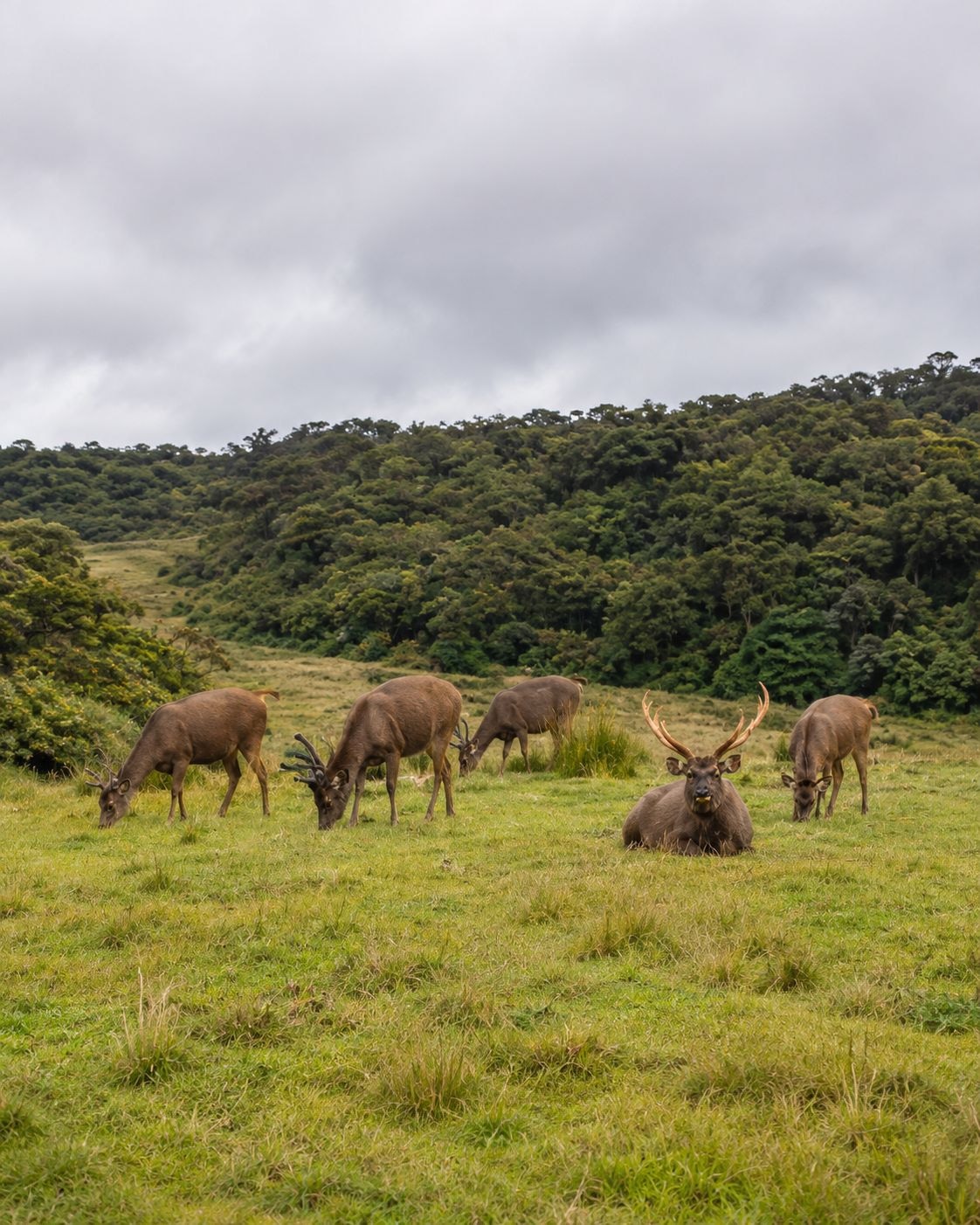 Horton Plains National Park: how to visit it well